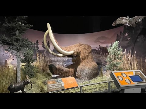 Uncover Indiana's Quirky Secrets and Hidden Gems